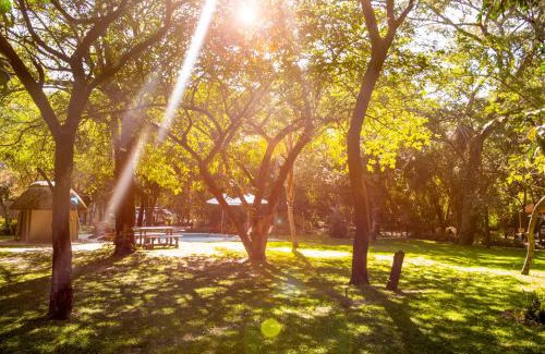 Zambezi Region Other | Explore Zambezi Mubala Camp: Family-Friendly Getaway