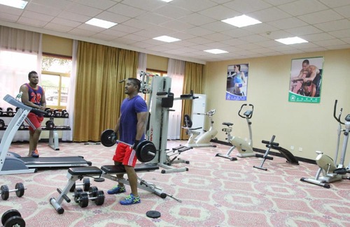 Lusaka Hotel | Pet-Friendly Zambia Golden Peacock Hotel with Pool Access