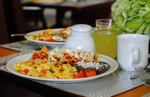 Los Mochis Hotel | Welcoming Zar Los Mochis: Pet-Friendly Retreat for Families