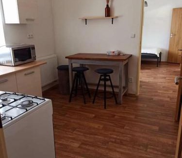 Sneky Apartment | Zastávka v lázeňském trojúhelníku - apartmán 3