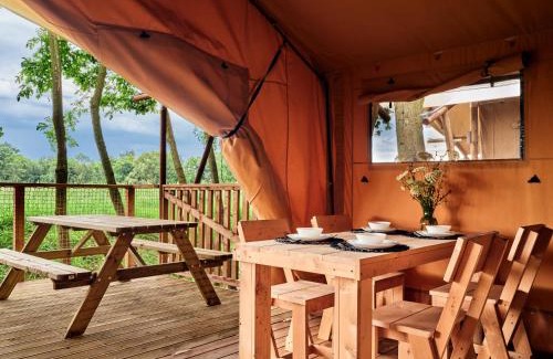Zator Resort | Pet-Friendly Zatoria Glamping in Zator - Rated 9.2/10