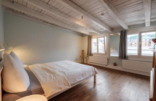Baden Baden Old Town Apartment | Pet-Friendly Zaunkönig Apartments with High Guest Ratings