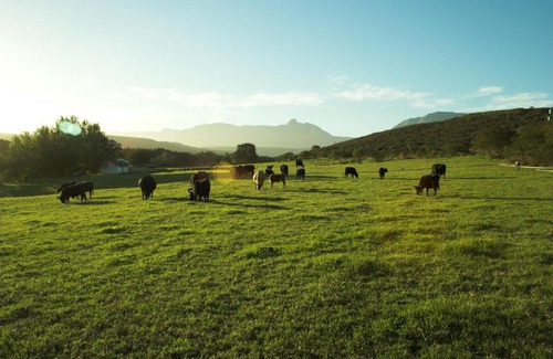 Riversdale House | Historic Zeekoegat Homestead with Pool & Family Amenities