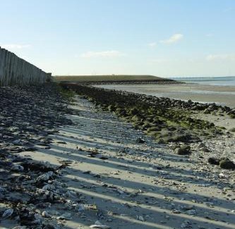Wissenkerke Bed & Breakfast | Experience Zeeuwse Zot: Ocean View & Family-Friendly Retreat