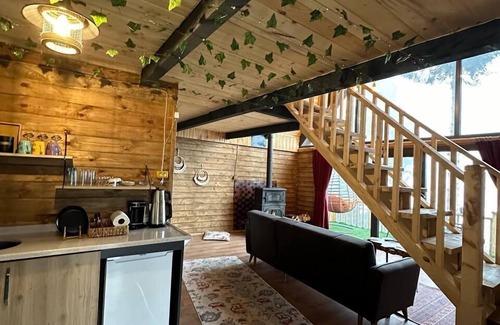 Ayder Ski Chalet | Discover Zekeriyaköy Dağevi: Pet-Friendly Retreat