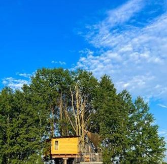 Jirikov Resort | Charming Zelený ostroff Treehouse: Pet-Friendly Retreat
