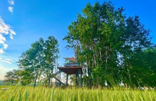 Jirikov Resort | Charming Zelený ostroff Treehouse: Pet-Friendly Retreat
