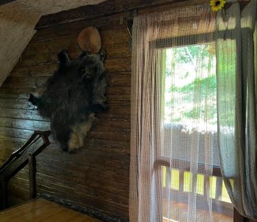 Pashkivtsi Villa | Discover Zelenyj Raj: Family-Friendly Getaway with Pool