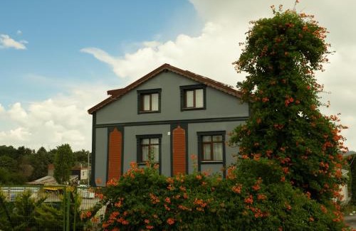 Arnavutkoy Bed & Breakfast | Zelle Airport Suites
