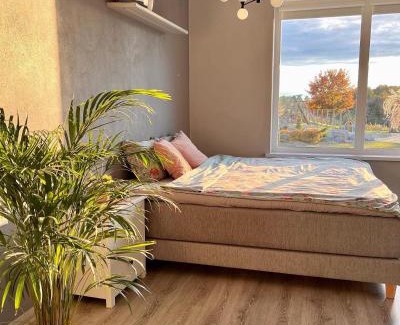 Jelgava House | Unforgettable Oceanfront Retreat at Zeltāres Hotel