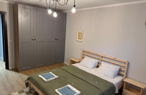 Sector 3 Apartment | Zen Studio
