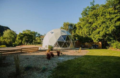 Glendale House | Zen Zion Evergreen Dome: Ideal for Families and Pets