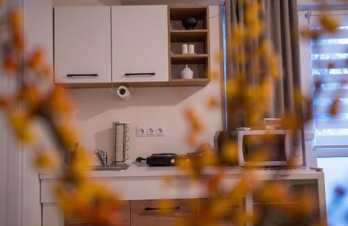 Ocna Mures Apartment | Discover Zena Apartment: Child-Friendly Accommodation