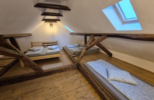 Miercurea-Ciuc Apartment | Pet-Friendly Zengő Hotel with Exceptional 9.3/10 Rating