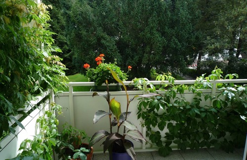 Zentrum Apartment | Tranquil Green Retreat: Perfect Family Getaway with Spa