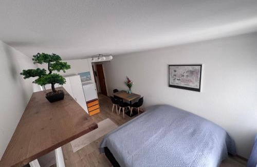 Sandrain Apartment | Zentrale 1-Zimmer-Wohnung Marzili Bern
