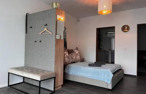 Offenburg Apartment | Central City Apartment Near Train Station & EuropaPark