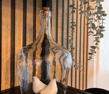 Offenburg Apartment | Central City Apartment Near Train Station & EuropaPark