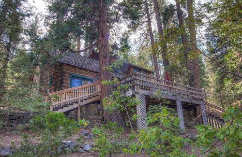 Zephyr Cove House | Cozy Zephyr Cabin: Family-Friendly Getaway Awaits You