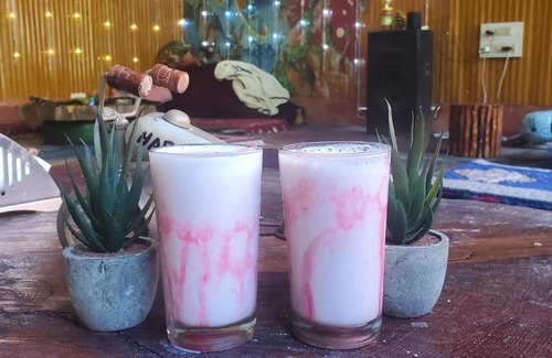 Kasol House | Discover ZERO KM. CAFE AND CAMPS: Pet-Friendly Retreat