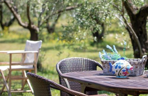 Anatolikos Olimpos House | Discover ZeusPlace Olympus Olive Country House for Families