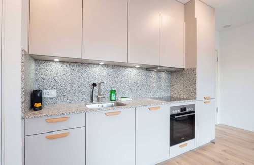 Center Apartment | Relaxing Stay at ZH Silver - Letzigrund HITrental Apartment