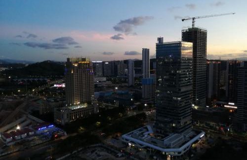 Shenzhen Hotel | Zhihui Forest Hotel Dayun Branch