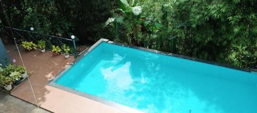 Thariyode Resort | Relax at Zicilys Garden Home Stay with Pool and Dining