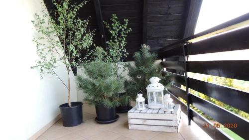 Sikorzyno House | Discover Zielone Tarasy na Kaszubach: Pet & Child Friendly Retreat