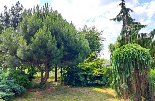 gmina Obrazow House | Experience Zielony Domek's Enchanting Garden Retreat