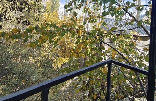 Hunza Ski Chalet | Discover Zihin With Forest View - Pet Friendly Retreat