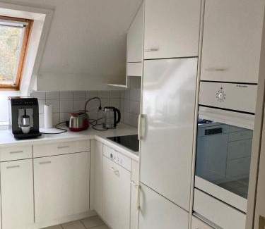 Schaffhausen Apartment | Zimmer direk am Waldrand mit Ausblick über Schaffhausen und Wohnzimmer mit Kamin