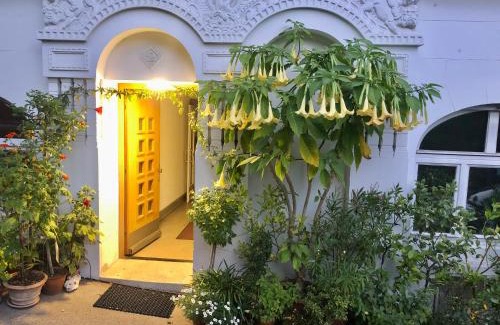 Vogelsang House | Parkview Rooms with High Guest Ratings and Family Amenities