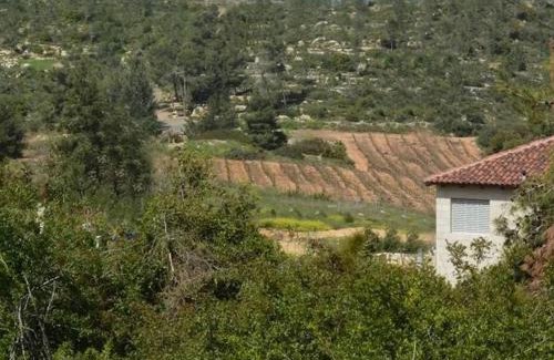 Neve Ilan Bed & Breakfast | Discover NOFEI NEVE ILAN: Guest Rated 9.4/10