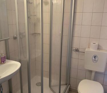 Großhartmannsdorf Apartment | Cozy Zimmervermietung Lippmann: Pet-Friendly Retreat