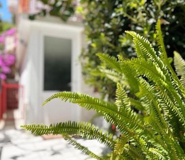 Susanj Apartment | Family-Friendly Stay at Zinzula 2 with Pet Amenities
