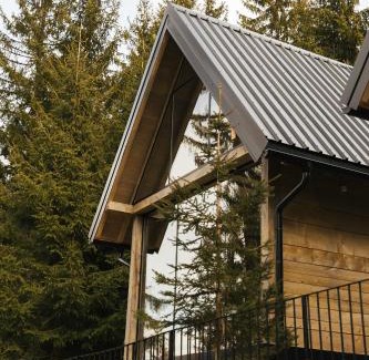 Zlatibor Ski Chalet | Discover ZlatAir Twins: Pet-Friendly with Perfect Reviews!