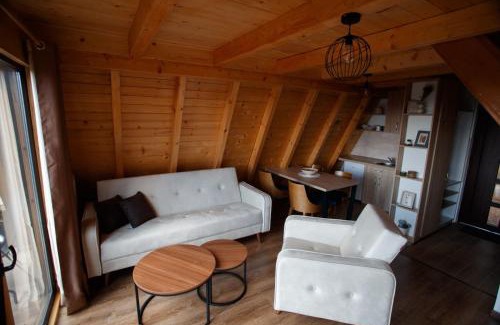 Brdo Apartment | Discover Zlatarski čardaci - Pet Friendly with Hot Tub