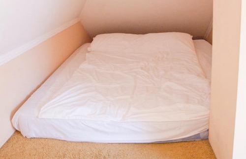 Berehove Hotel | Pet-Friendly Retreat with Spa at Zolota Pava Hotel