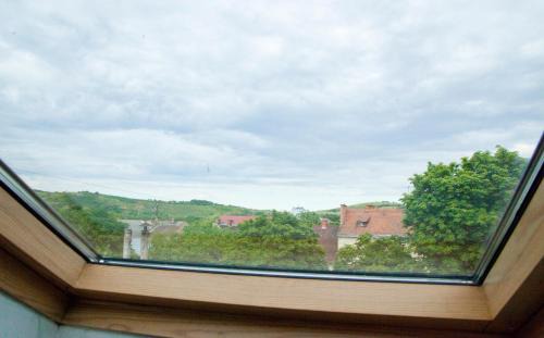 Berehove Hotel | Pet-Friendly Retreat with Spa at Zolota Pava Hotel