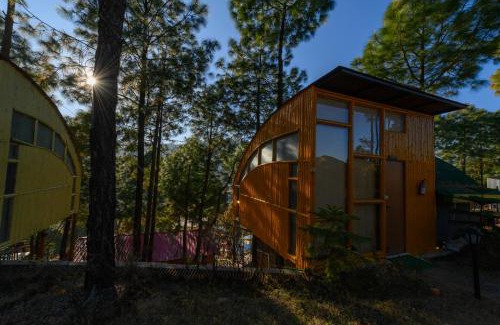 Lansdowne Resort | Discover Zone Connect by The Park: Pet-Friendly Retreat