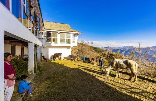 Cheog House | Discover Zostel Homes Cheog: Family-Friendly Retreat