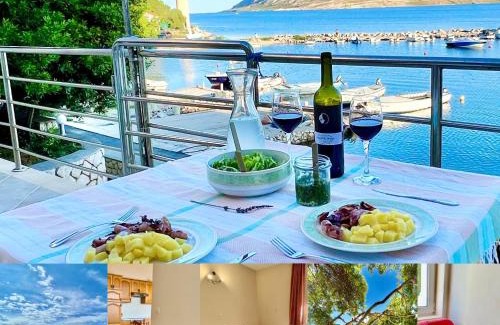 Caska House | Pet-Friendly Zrće Beach Villa with Oceanfront Views