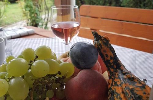 Villany Apartment | Family-Friendly Zsigmond Vendégház with 9.1 Review Score