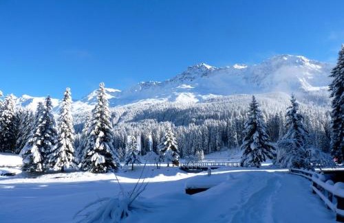 Lenzerheide Apartment | Elegant Apartment Tgesa La Roiva with Pool & Ocean View