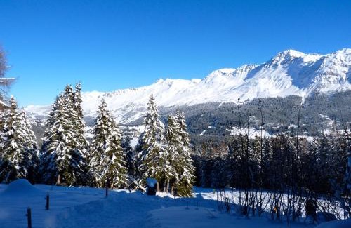 Lenzerheide Apartment | Elegant Apartment Tgesa La Roiva with Pool & Ocean View