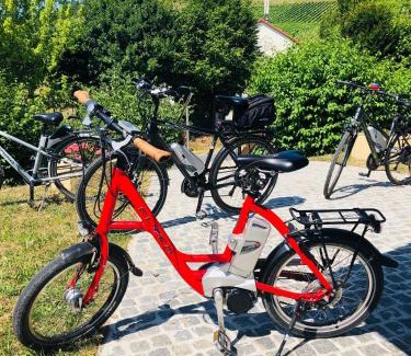 Karlstadt Hotel | Discover Zum Fehmelbauer: Family-Friendly with Dining Options
