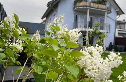 Weißenthurm Apartment | Enjoy Family-Friendly Stays at Zum schönen Ausblick