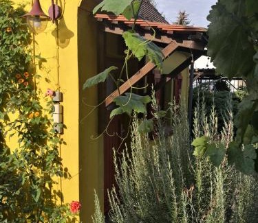 Kleinliebenau Apartment | Pet-Friendly Retreat at Zum Waldmeister with High Ratings