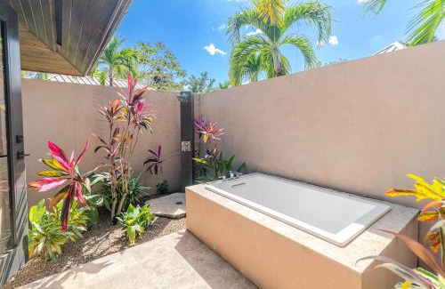 Sanctuary Belize House | Outstanding Zumba House: Gold Standard Certified Retreat